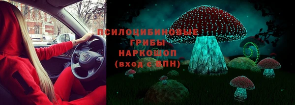 трава Балахна